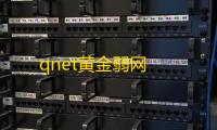 qnet黄金弱网